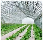 游泳池消毒劑分類及注意事項